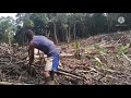 membuka lahan baru untuk pertanian