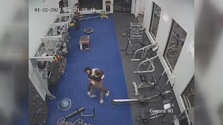 VIDEO | Florida woman fights off attacker inside apartment gym in harrowing video