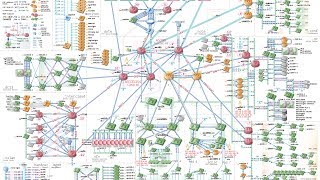 The〝ShowNet〟-  Footage of Topology Diagram  |  INTEROP TOKYO 2014