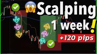 เทรด Forex Scalping 1 อาทิตย์ในยุคโควิต | กำไร +123 pips