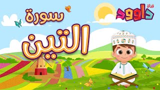 سورة التين - تعليم القرآن للأطفال - أحلى قرائة لسورة التين - قناة داوود Quran for Kids -Surah Al Tin