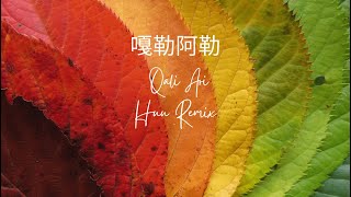 玖壹壹(Nine one one) - 嘎勒阿勒 qali ari | Hữu Remix