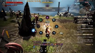 Black Desert_テスト　グダグダリハビリ狩り星の墓場　1h