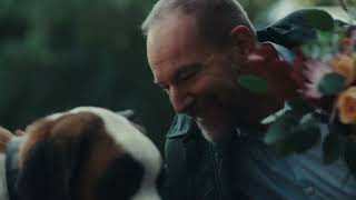 Dog (15-Second Ad)