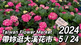 帶妳逛桃園大溪花市~週末搶先看!丨2024/5/24丨Taiwan Flower Market丨