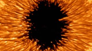 First light from BBSO : New Solar Telescope - SUNSPOT 1084