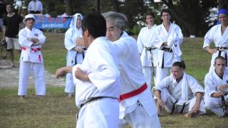 shorin ryu karate