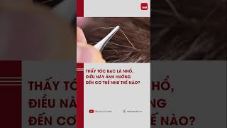 Thấy tóc bạc là nhổ, điều này ảnh hưởng đến cơ thể như thế nào? | TTGD