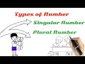 The Number :Noun for all classes singular change plural @FAST_learning