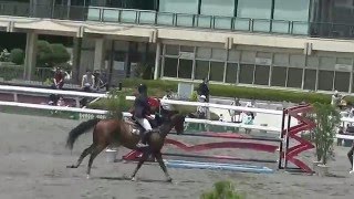 第４３回東京都馬術大会　第１７競技　東京障碍１１０　三年　坂口南斗　ゲットフルマークス