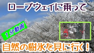 三重県菰野町・御在所岳ロープウェイに乗って、自然の樹氷を見に行く！