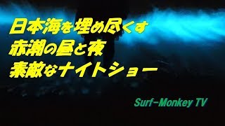 赤潮がビーチで青く光るとまるでナイトショー 180422 ~サーフモンキーTV