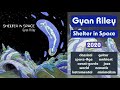 Gyan Riley – Shelter in Space (2020)