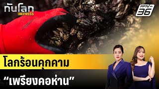 โลกร้อนคุกคาม “เพรียงคอห่าน” เมนูโปรดคริสต์มาสชาวสเปน |ทันโลก EXPRESS | 25 ธ.ค. 67