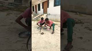 🤣😂Nagin comedy funny video 🐍🐍🐍🐍#viral#trending #comedy #short#video #Rb.gymlover🤣😂😂🐍🐍