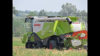 Summer wheat harvest/nyár búza aratás/ 2019 *INTRO* Claas Lexion Terra Trac. 600.750