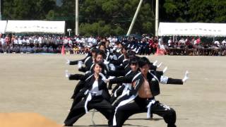 杵築高校体育祭２０１５白軍演舞