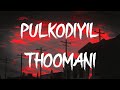 Pulkodiyil Thoomani Song Lyrics - Take Off