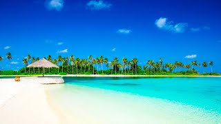 Beautiful Tropical White Sandy Beaches with Relaxing Bossa Nova & Waves Sounds