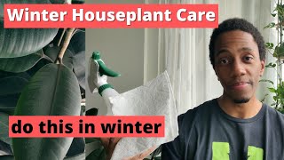 How to clean plant leaves | Winter care tips to stop overwatering your plants