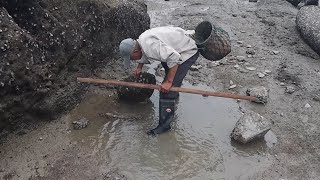 今天风浪大没有出海，来岸边找找总会有货的，深洞里面躲着大青蟹