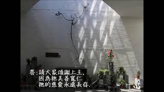 復活期第二主日(天主慈悲主日)答唱詠-丙年