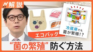 「菌は意外な所で繁殖している」エコバッグに小麦粉…家庭での食中毒に要注意！“菌の繁殖”防ぐ方法【Nスタ解説】｜TBS NEWS DIG