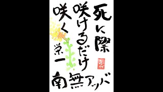 【211】死の意味：「井上洋治神父の言葉に出会う」在宅講座・風の家・カトリック・キリスト教