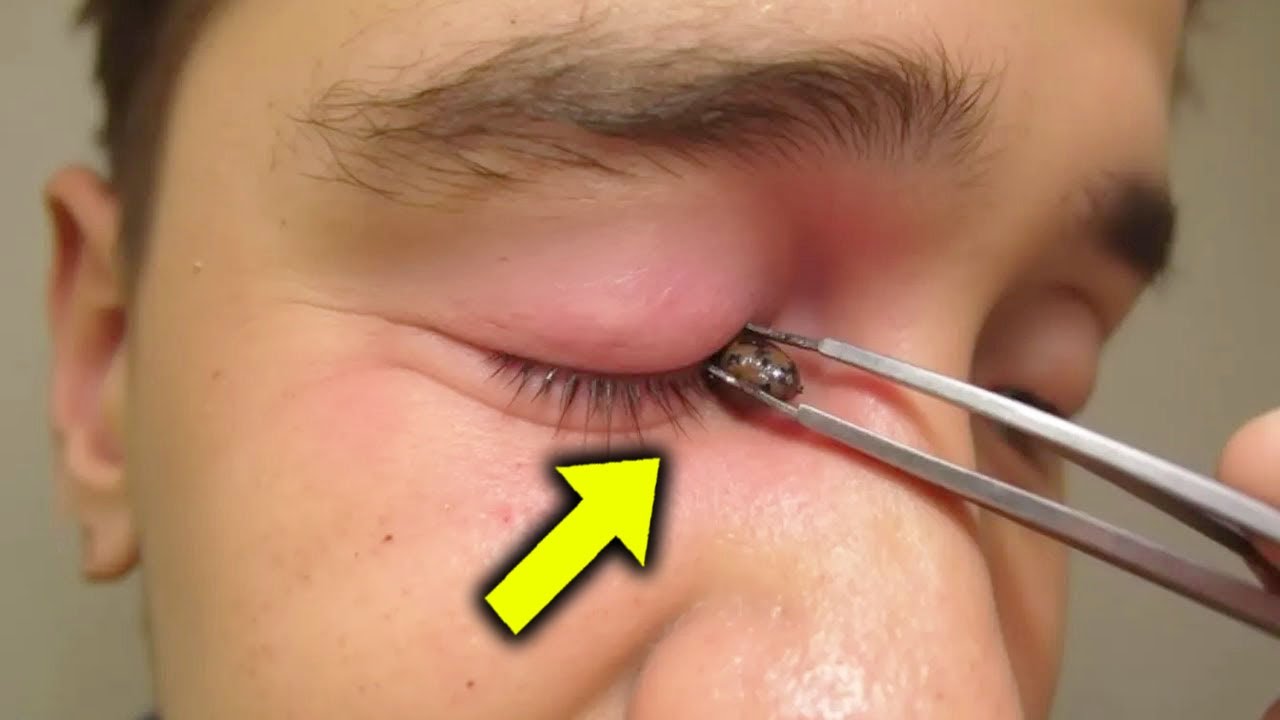 Family Laughed At Him For Inheriting Old Cabin But Then They Looked