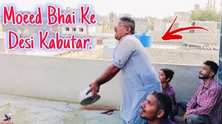 Moeed Bhai Desi Kabutar Ki Larriyan | New Gola Kabutar Training | New Kabootar Bazi .. 😃