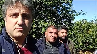 Mersinli tarım üreticileri sorunlarını anlattı | Ulusal Kanal Programcısı Cenk Özdemir aktardı