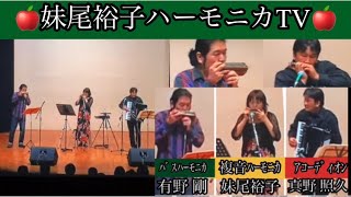 #256【41懐かし演奏】 ﾊﾊﾞﾅｷﾞﾗ /Hava Nagila【ﾄﾘｵ.ﾎﾟｹｯﾄ/trio pocket】第4回2011.9.4(日)神奈川公会堂