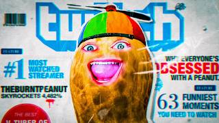 TheBurntPeanut is a Recession Indicator