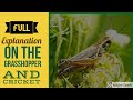 Tutorial 3  Grade 7  English On the Grasshopper and Cricket