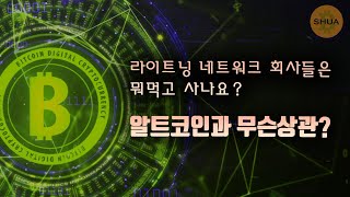 비트코인 라이트닝 네트워크 질의응답, 알트코인도 함께 간다.