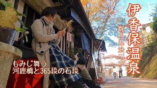 女ひとりと犬1匹 紅葉の伊香保温泉へ車中泊の旅