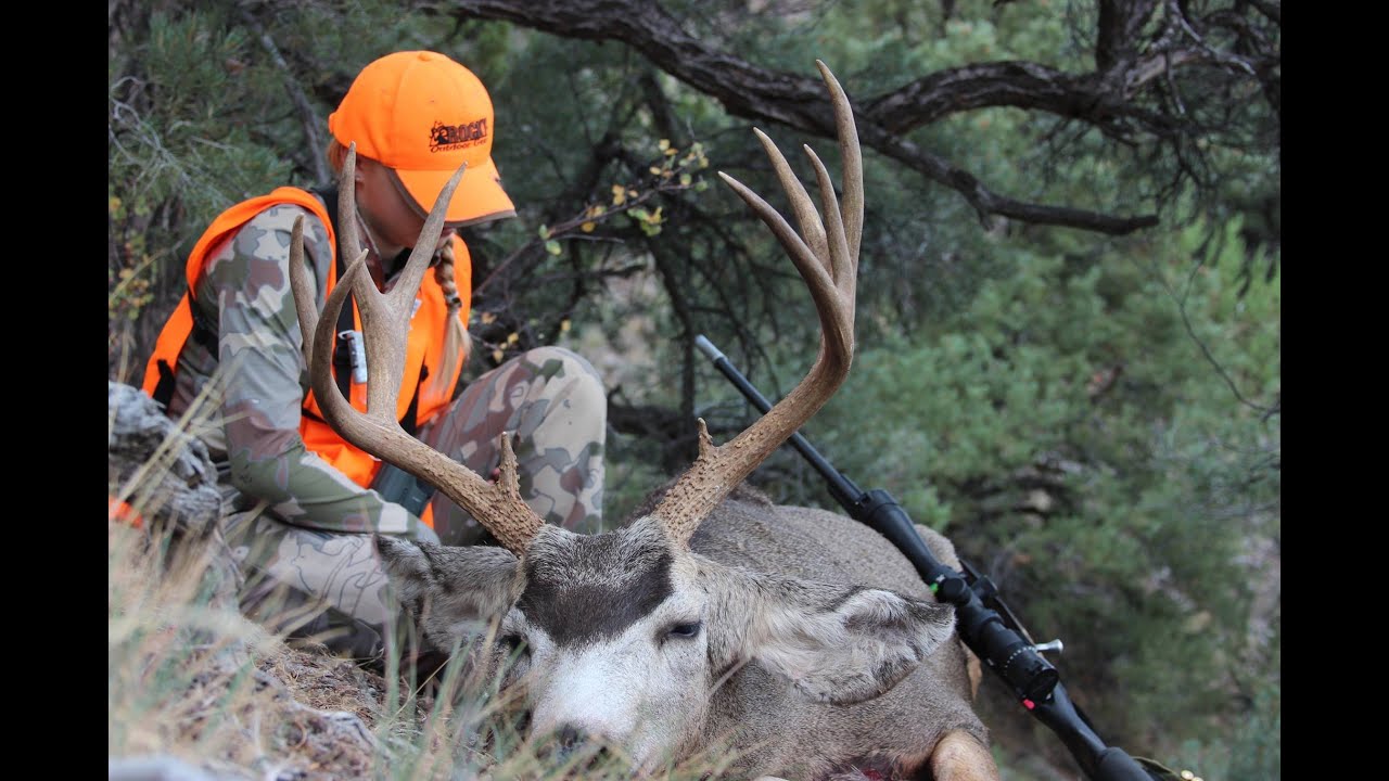Mule Deer Hunting Long Range Mule Deer Hunt Youtube