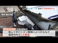 「台風１１号」強風で街路樹が倒れる、ナシなど農作物被害も～九州北部は未明に最接近