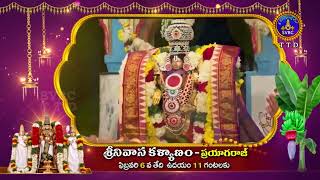 SRINIVASA KALYANAM || PRAYAGRAJ || 06-02-2025 at 11Am || SVBC TTD