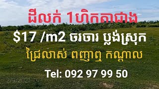 ដីលក់ $17/m2 ទំហំ1ហិកតាជាង Tel: 092979950