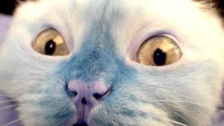 Remix Attack Attack! - Interlude BY MEEN