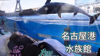 【名古屋港水族館】大迫力のシャチとイルカのショー見てきたよ‼︎