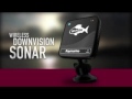 raymarine wi fish chirp downvision sonar for smartphones tablets