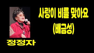 사랑이 비를 맞아요(배금성), 정정자 , 가사 동영상, 노래자랑, 최화영노래교실, K-Pop(trot),韓國歌謠