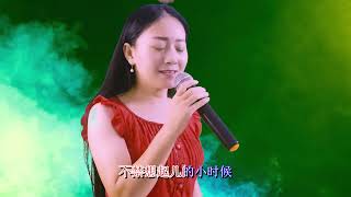 一首《爹娘的恩情还不够》伤感歌声，想家了常回家看看