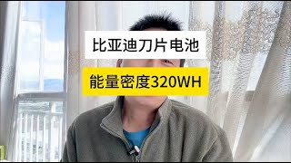 只能你自己才能澄清了，这是不是二代刀片电池还是半固态电池？【杜思聪游记】