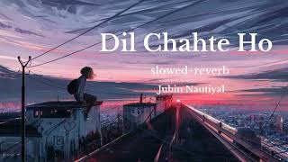 Dil Chahte Ho || slowed reverb || Jubin Nautiyal || lofi || #lofi || #slowedreverb