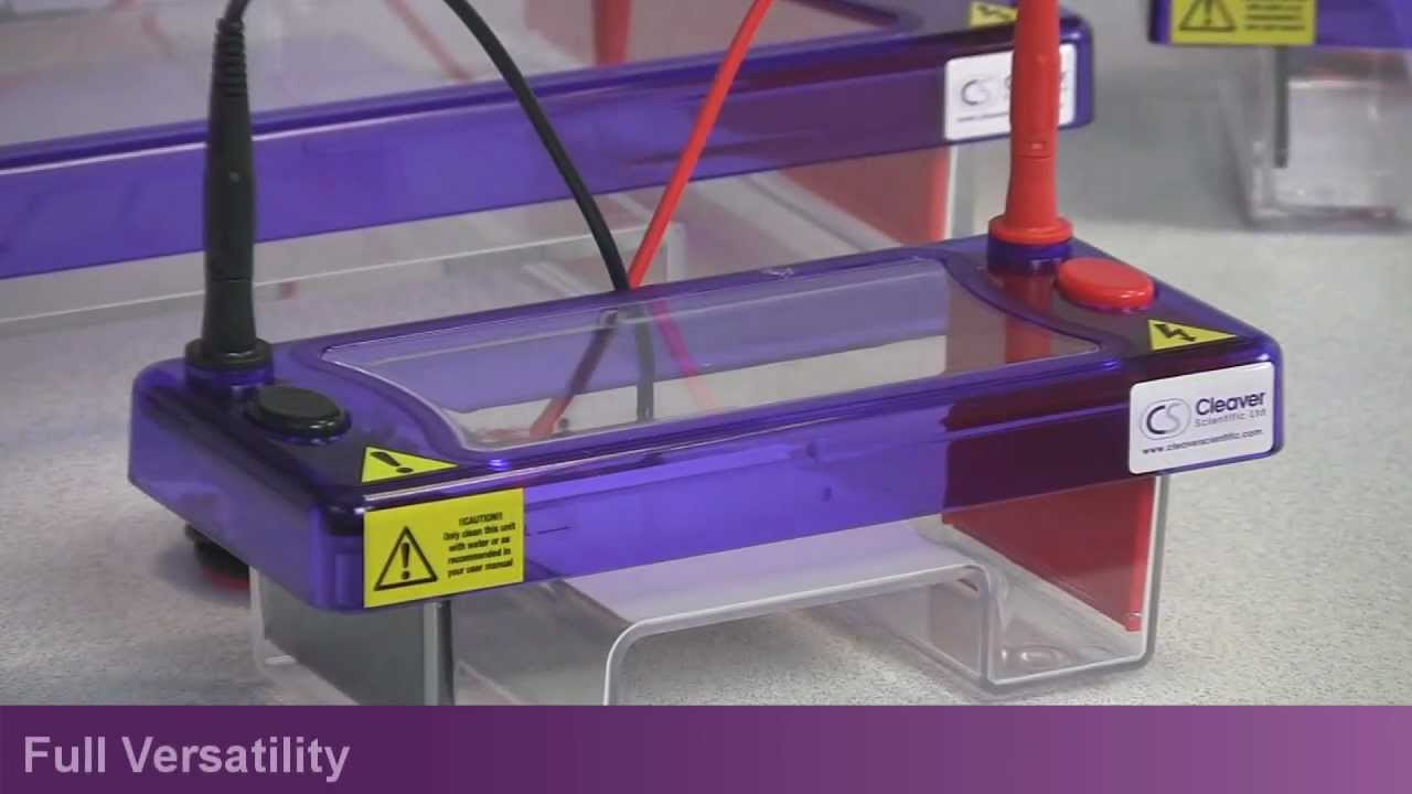 Horizontal Electrophoresis Products From Cleaver Scientific - YouTube