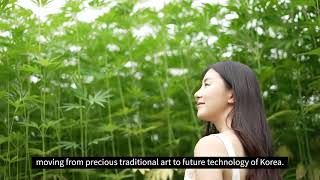 Hemp frome Andong, Gyeongsangbuk-do to the world(Andong MBC campaign)