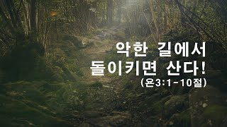 2024년 02월 02일 내일교회 주일예배입니다